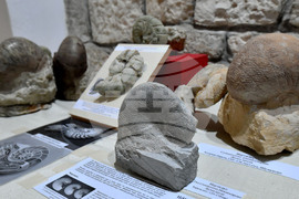 Разград - изложба "Фосили"