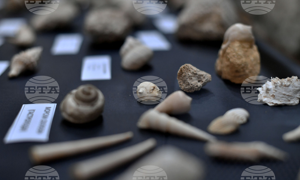 Разград - изложба "Фосили"