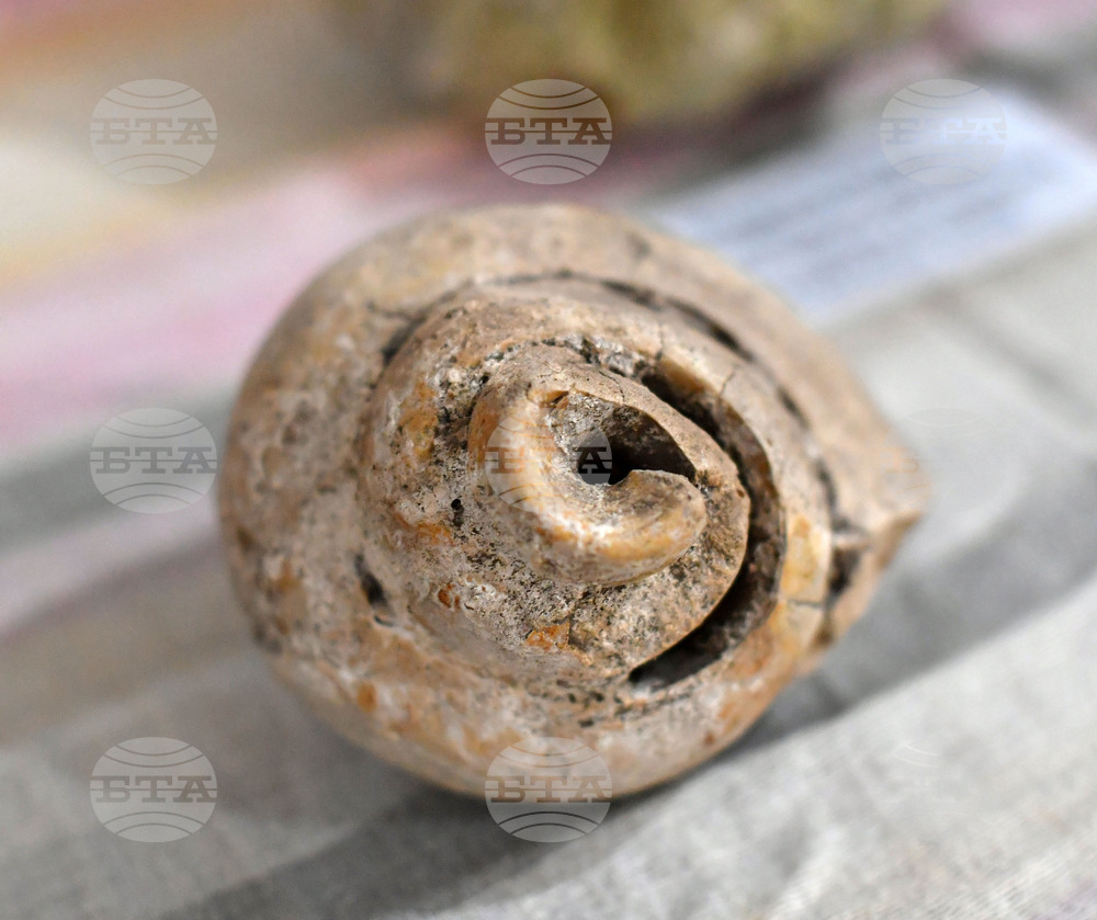 Разград - изложба "Фосили"