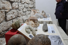 Разград - изложба "Фосили"