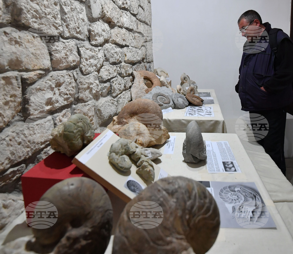 Разград - изложба "Фосили"