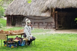 Румъния - Национален музей на селото „Димитрие Густи“