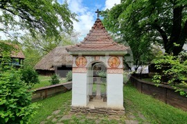 Румъния - Национален музей на селото „Димитрие Густи“