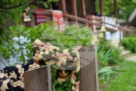 Румъния - Национален музей на селото „Димитрие Густи“