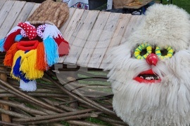 Румъния - Национален музей на селото „Димитрие Густи“