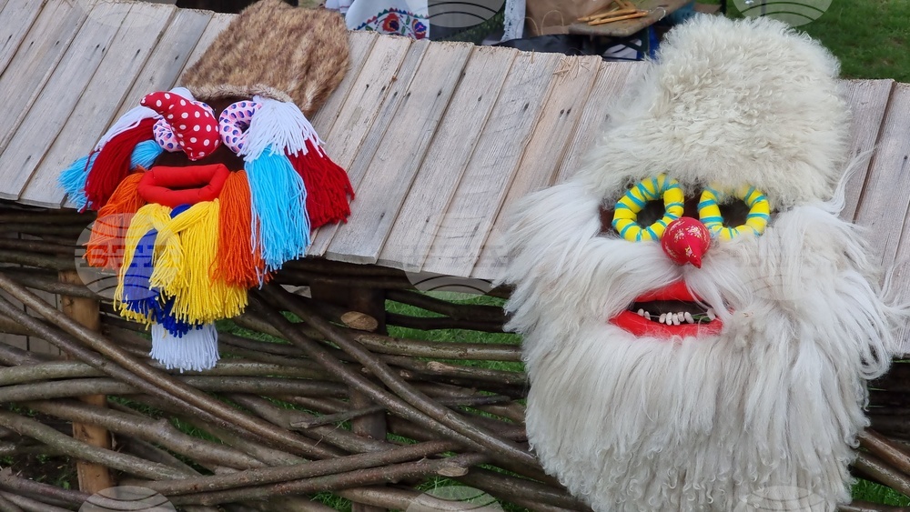 Румъния - Национален музей на селото „Димитрие Густи“