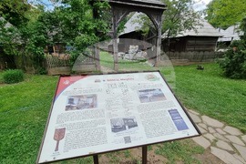 Румъния - Национален музей на селото „Димитрие Густи“