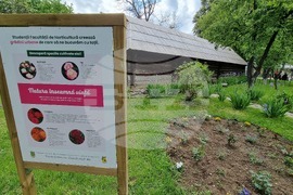 Румъния - Национален музей на селото „Димитрие Густи“