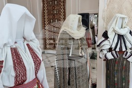 Румъния - Национален музей на селото „Димитрие Густи“ - изложба