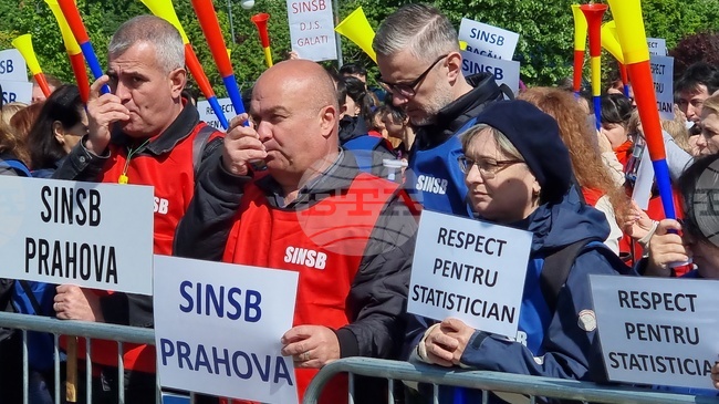 Румъния - Национален статистически институт - протест