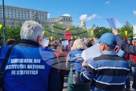 Румъния - Национален статистически институт - протест