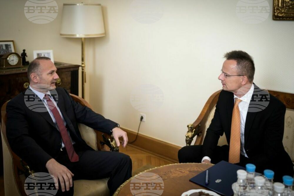 Energy Minister Hristov Discusses Regional Energy Security with Hungarian Foreign Minister