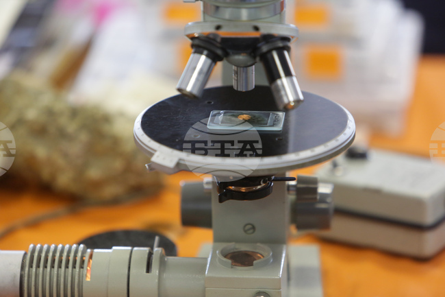 Геномен център ще бъде открит тази година в Бургаски държавен университет "Проф. д-р Асен Златаров"