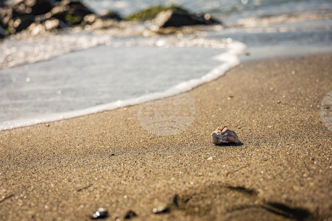 В акваторията на Бургаския залив от седмици не е имало никакви нефтени разливи, казаха от екоинспекцията в Бургас 