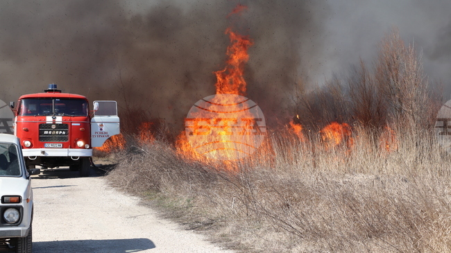 Потушен е пожарът в защитена местност „Калимок – Бръшлен“ край Тутракан