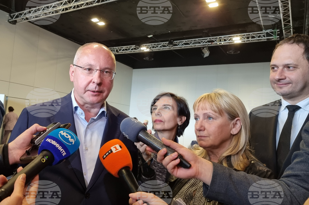 Bulgaria Can Ratify Part of Istanbul Convention, Socialist MEP Says