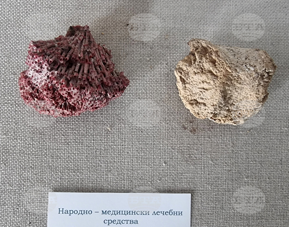 Варна - Музей по история на медицината
