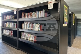 РЮА - медии - БТА и SAnews