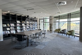 РЮА - медии - БТА и SAnews