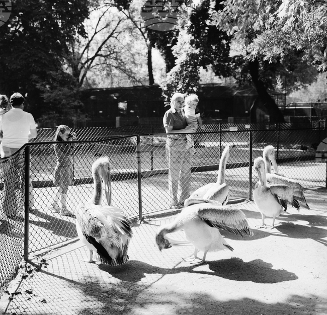 135 години зоопарк, София