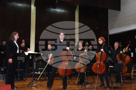 Видин - концерт - Симфониета