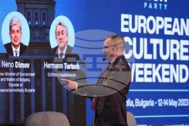 НДК - Партия на европейските консерватори и реформисти