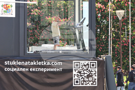 "Стъклената клетка" - Красимир Георгиев