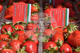 Кричим - Фестивал на ягодата