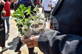 Кричим - Фестивал на ягодата