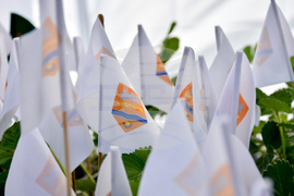 Кричим - Фестивал на ягодата