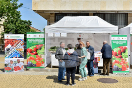 Кричим - Фестивал на ягодата