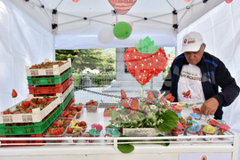 Кричим - Фестивал на ягодата