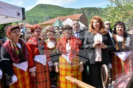 Кричим - Фестивал на ягодата