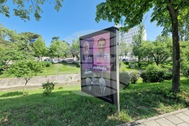 Албания - избори