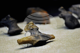 Бургас - Европейска нощ на музеите - изложба