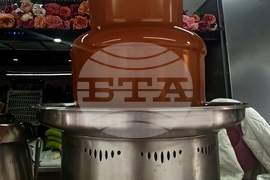 Румъния - карнавал на храната