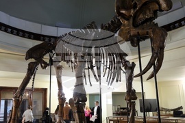 Софийски университет "Св. Климент Охридски" - Европейска нощ на музеите