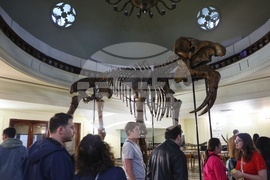 Софийски университет "Св. Климент Охридски" - Европейска нощ на музеите