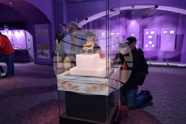 Румъния - Нощ на музеите в Букурещ