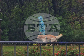 Дъждовно време