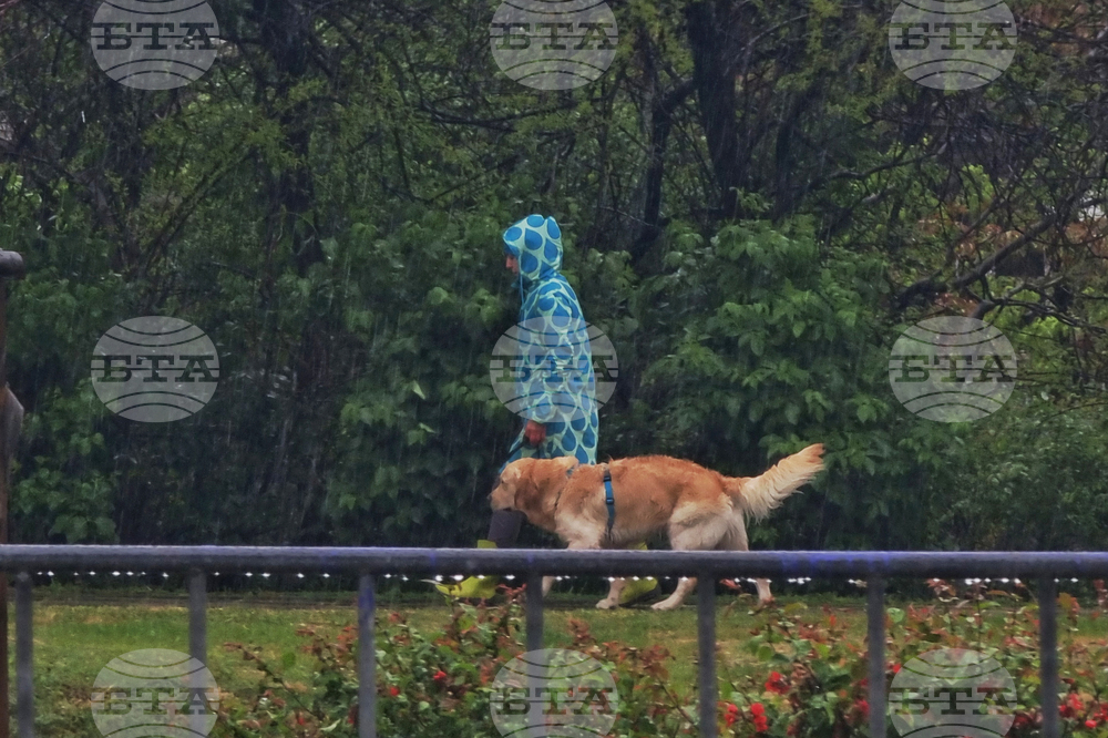 Дъждовно време