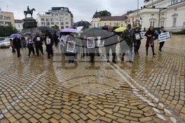 Национален протест - пострадали при пътнотранспортни произшествия