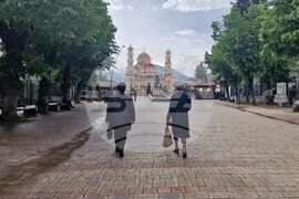 Албания - местните избори