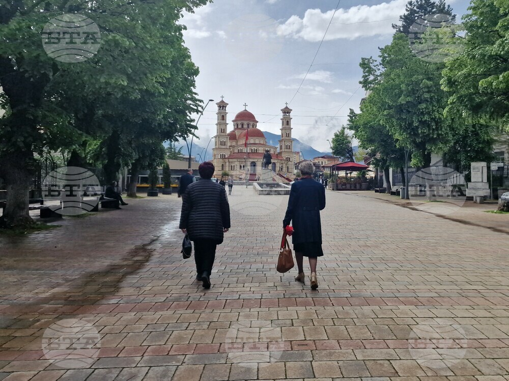 Албания - местните избори