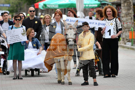 Дулово - карнавал "Златното магаре"