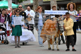 Дулово - карнавал "Златното магаре"