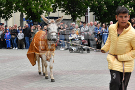 Дулово - карнавал "Златното магаре"
