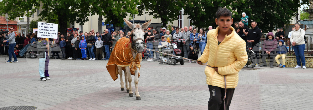 Дулово - карнавал "Златното магаре"