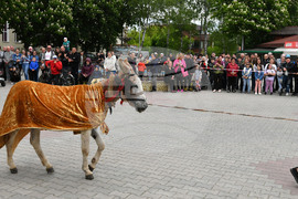 Дулово - карнавал "Златното магаре"