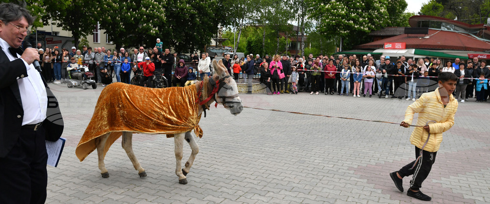 Дулово - карнавал "Златното магаре"
